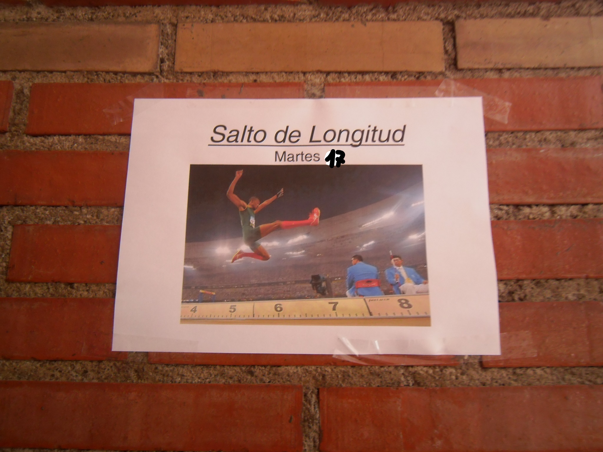 SALTOS DE LONGITUD «LOS MOLINOS»